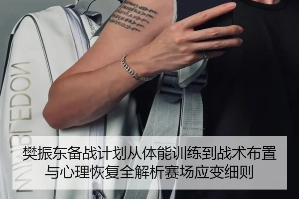樊振东备战计划从体能训练到战术布置与心理恢复全解析赛场应变细则